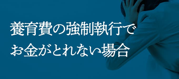 養育費の強制執行でお金がとれない場合は?